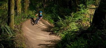 Rocky mountain discount vertex 20